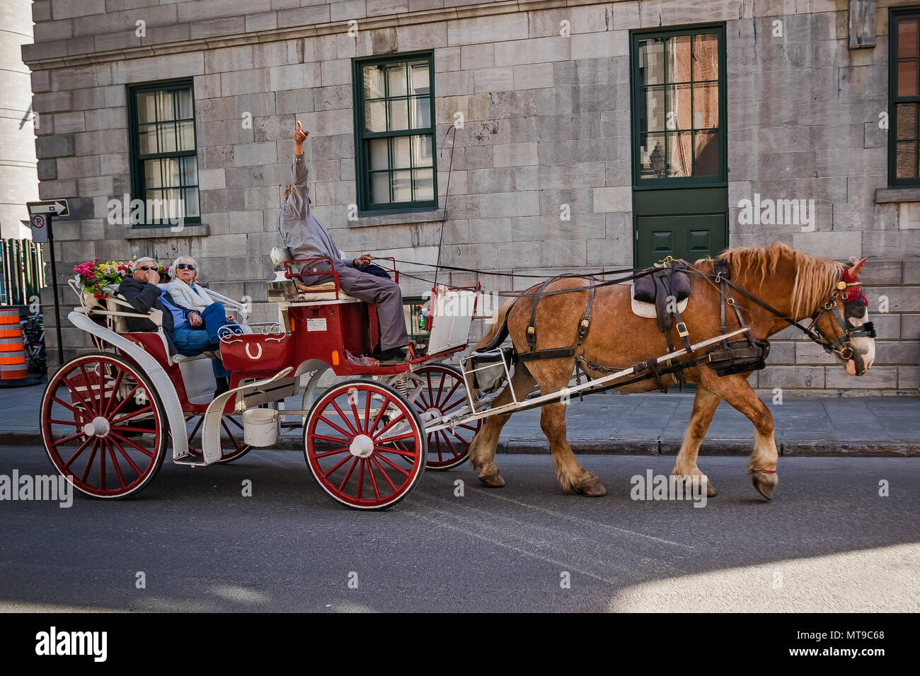 Szenen aus alten Pferd & Kutsche in Montreal/Vieux Port Stockfoto