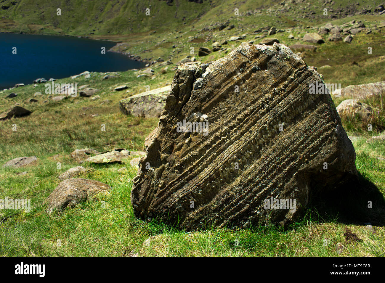 Schichtung in einem Klumpen von Sedimentgestein ruht auf einem Hügel über einem Behälter im Lake District, England. Stockfoto