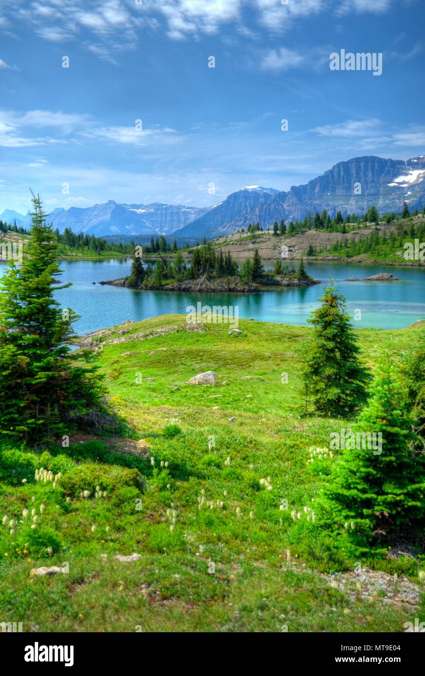 Wunderschöne Rock Isle See in der kanadischen Rockies. Kleiner Teich in den Rocky Mountains mit einem kleinen Felsen, Bäume und Gras. Sommer Blumen. Stockfoto