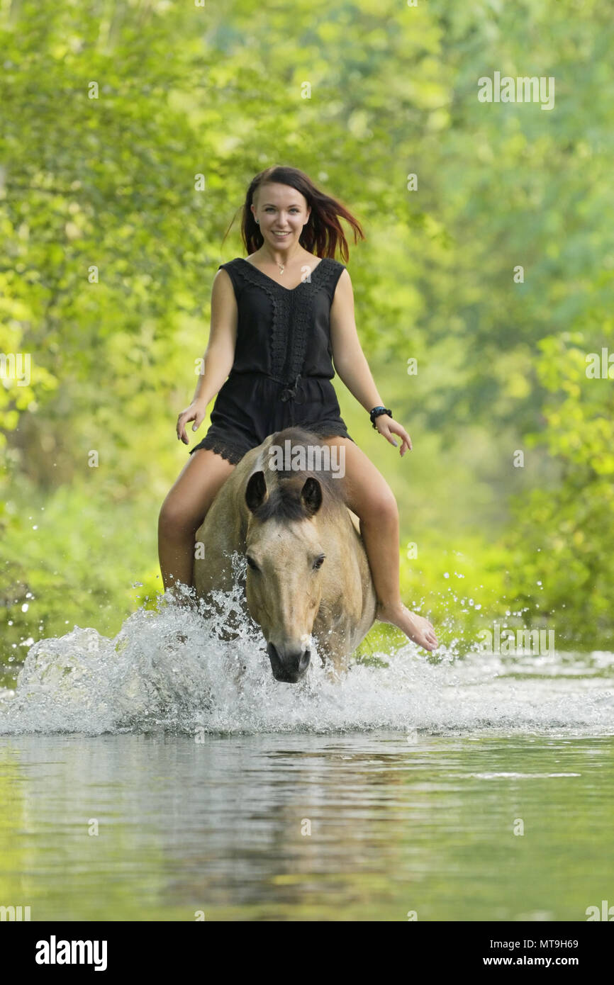 Deutsches Reitpony. Junge Frau auf dem Rücken eines dun Pferd in einen Bach. Deutschland Stockfoto