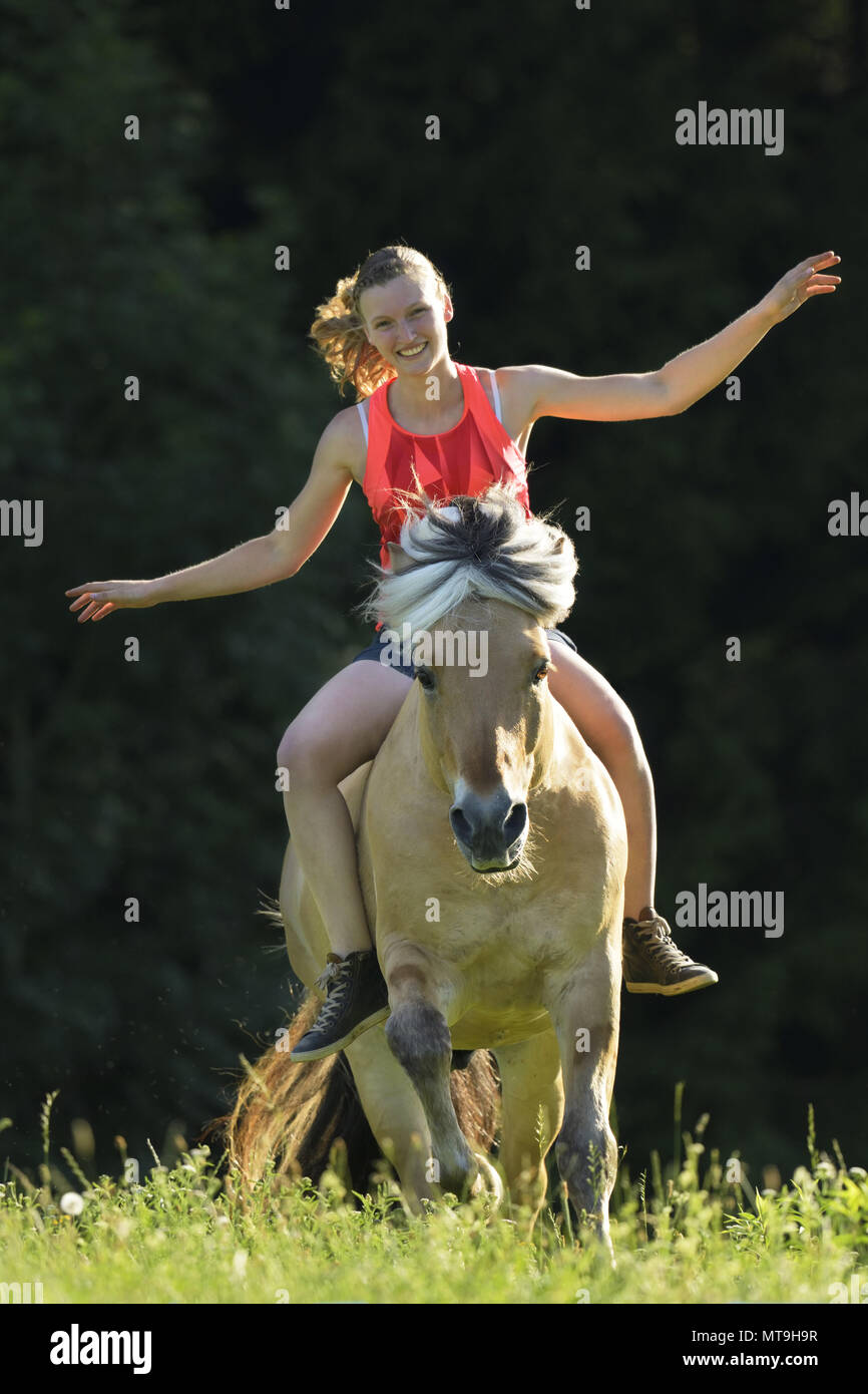 Horse Without Rider Stockfotos und bilder Kaufen Alamy