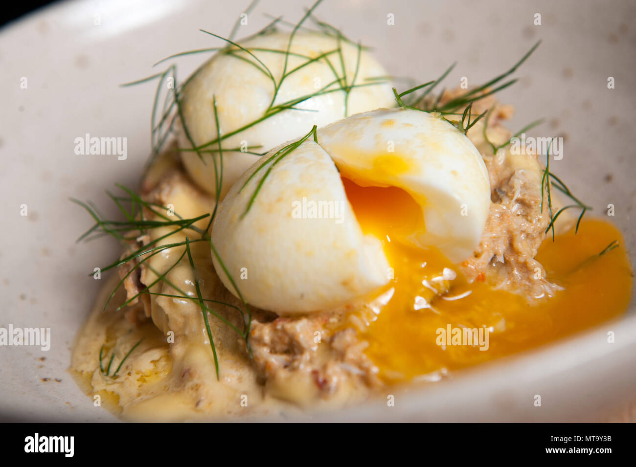 Pochiertes Ei und Lachs mit Sauce Hollandaise serviert. Das Frühstück wird Gericht Stockfoto