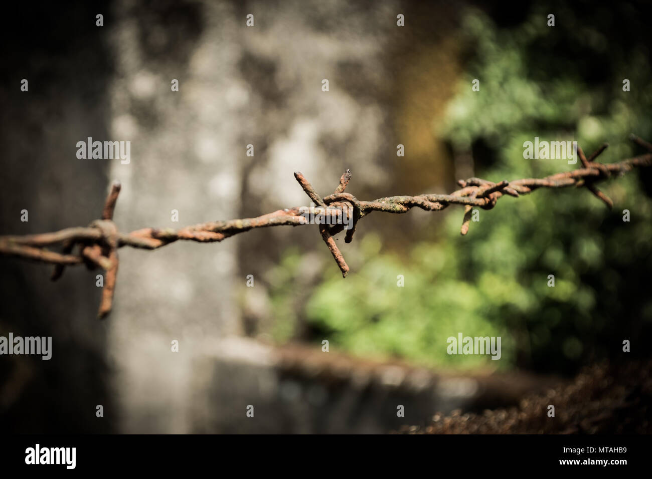 Stacheldraht Stockfoto