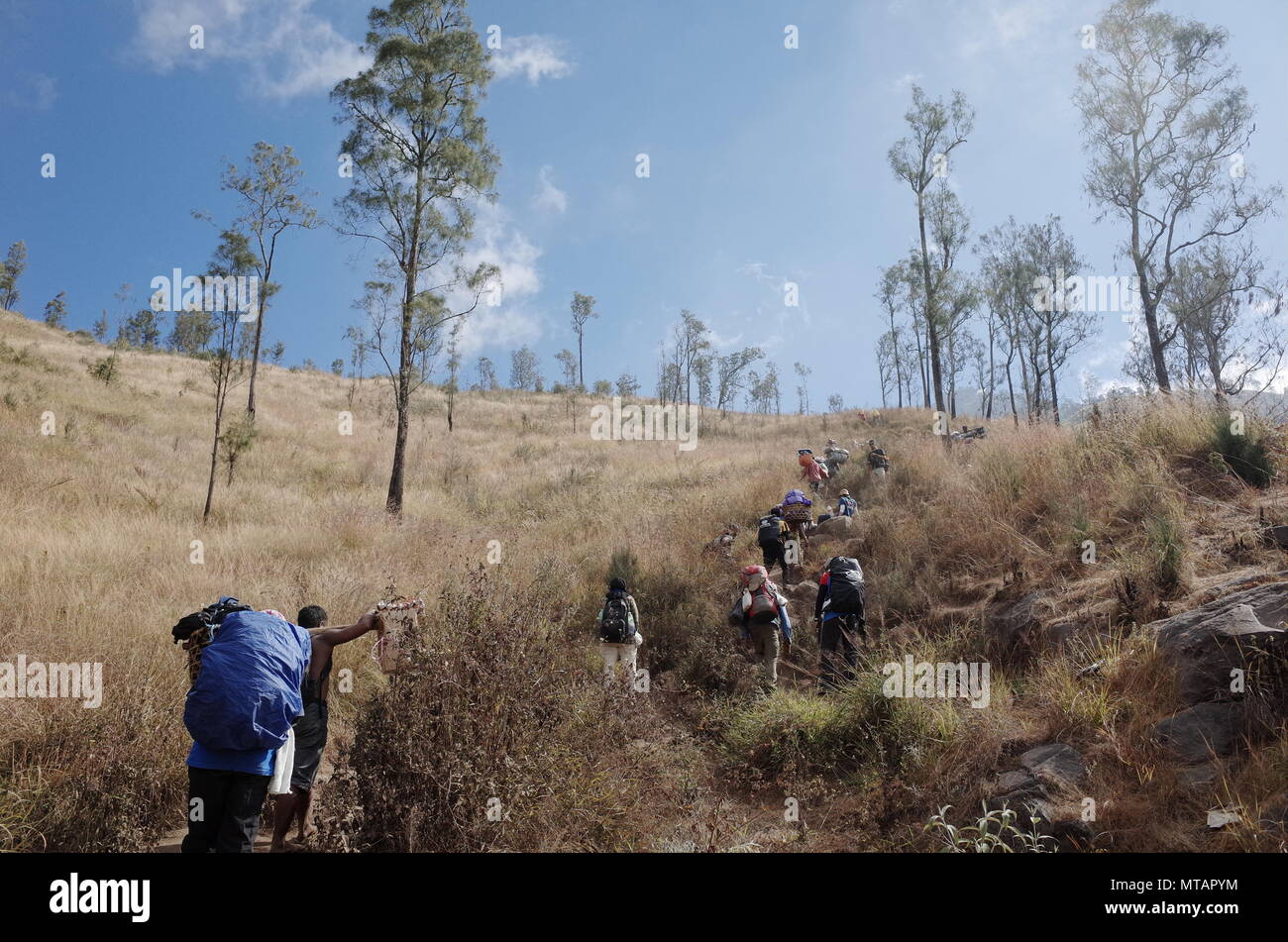 Rinjani Nationalpark Stockfoto