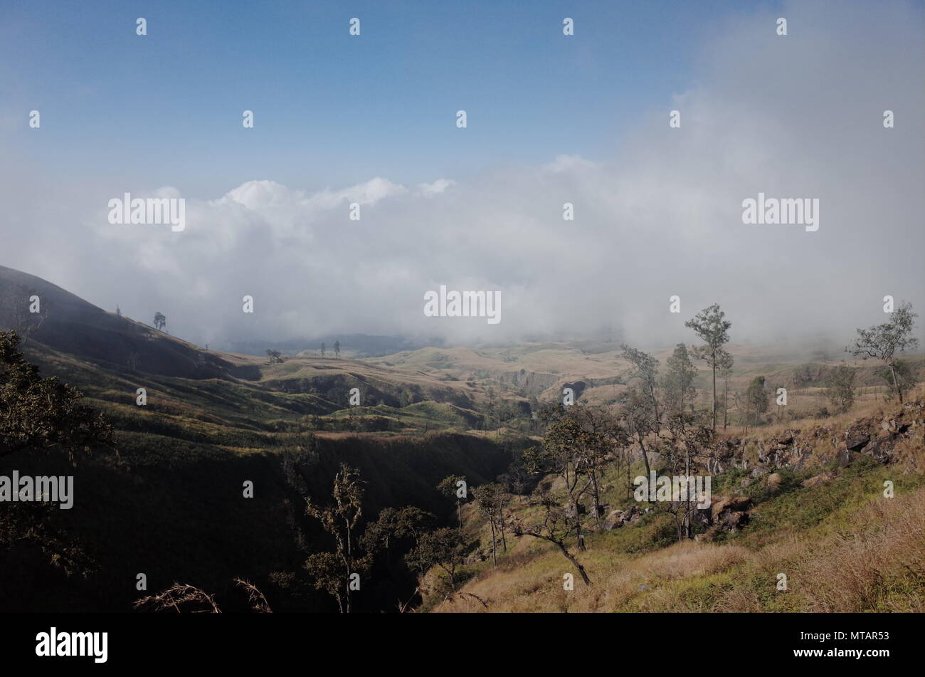 Mount Rinjani Nationalpark Szene Stockfoto