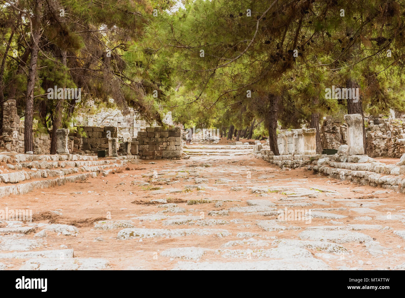 Stein Platz in der antiken Stadt Phaselis Faselis historische Sehenswürdigkeit der Türkei Stockfoto