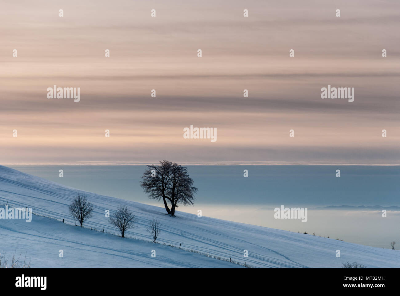 Blick vom Schauinsland, über das Rheintal Stockfoto