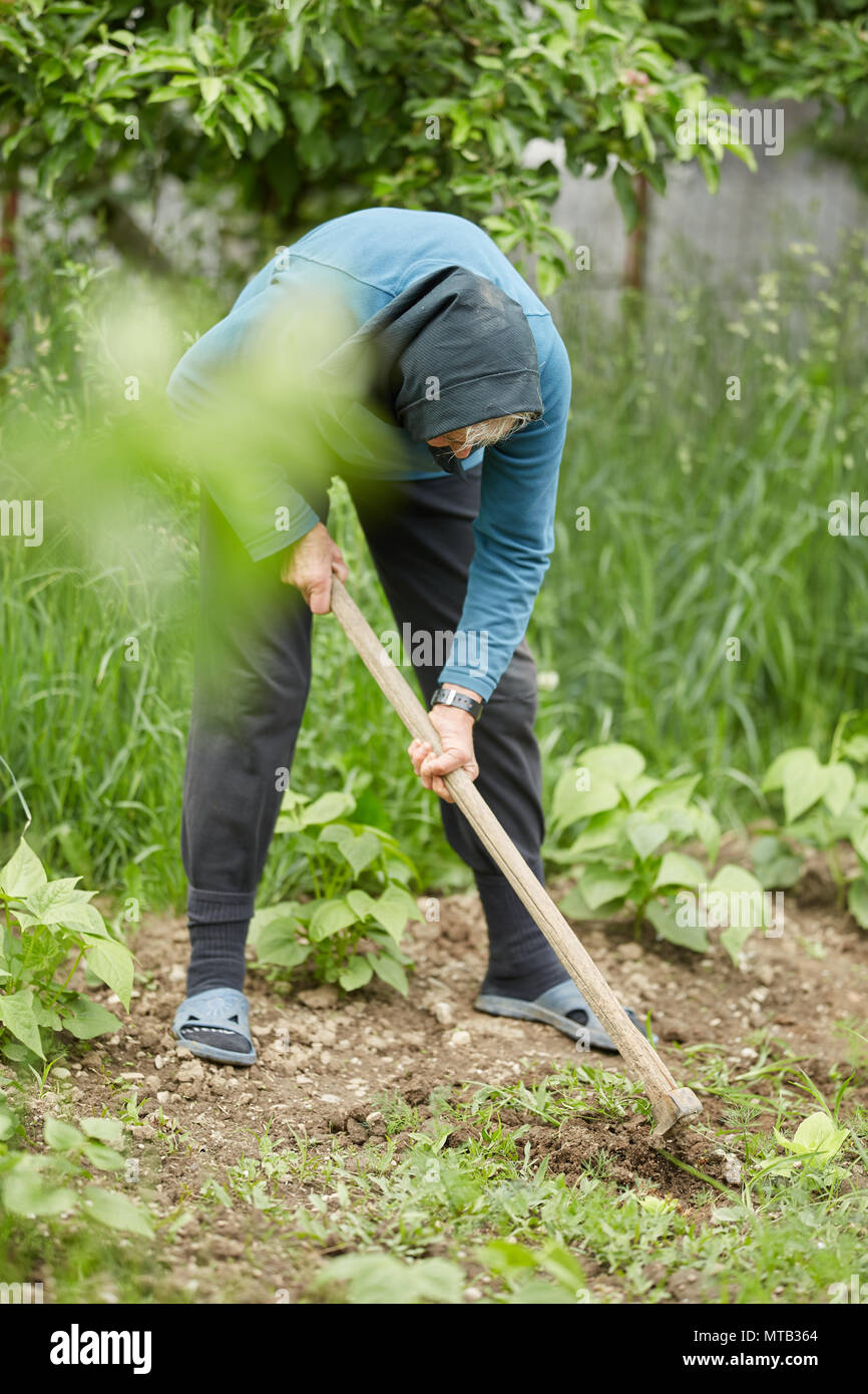 Alten ländlichen Frau in ihrem Garten Unkraut jäten mit der Hacke  Stockfotografie - Alamy