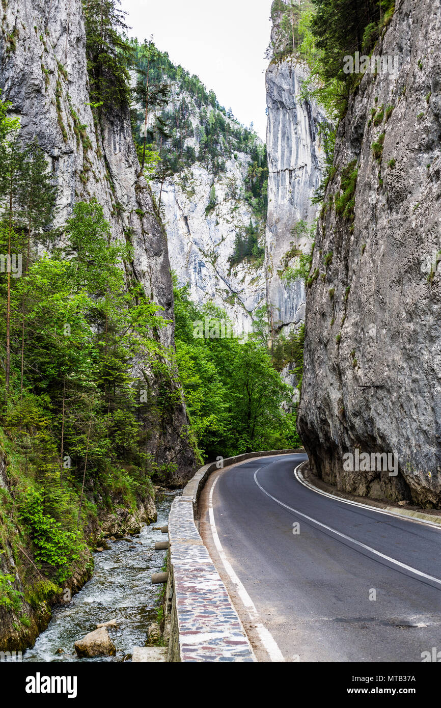 Die schöne Gyilkos-tó und Békási-szoros Stockfoto