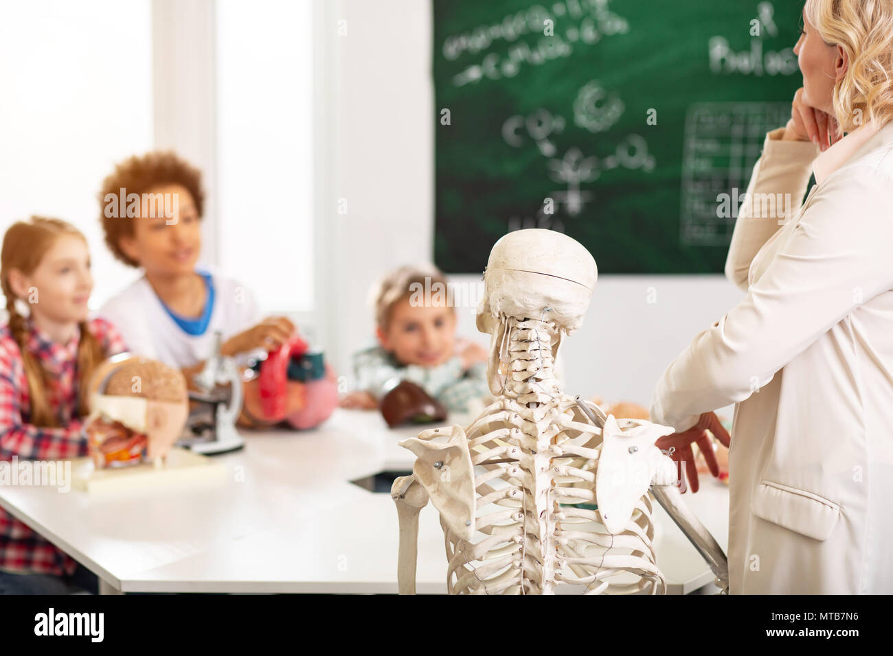 Selektiver Fokus eines menschlichen Skeletts Stockfoto