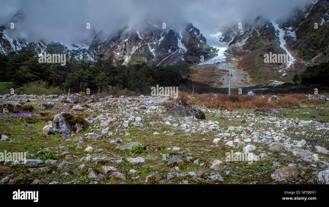 Yumthang Tal, eine beliebte Touristenattraktion und Natur Camp im östlichen Himalaya, Sikkim, Indien Stockfoto