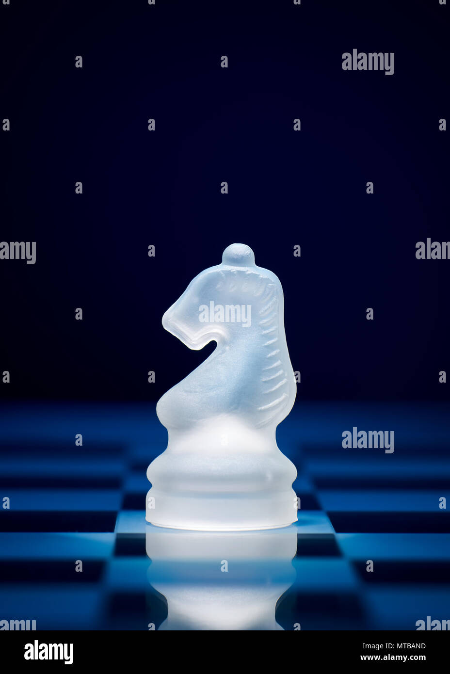 Schach Spiel Stücke. Der Ritter auf dem Schachbrett. Stockfoto