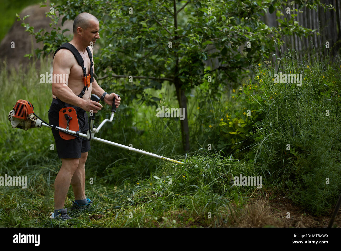 Mann das Mähen der Flächen mit einem brushcutter, motorisierte Rasenmäher Stockfoto