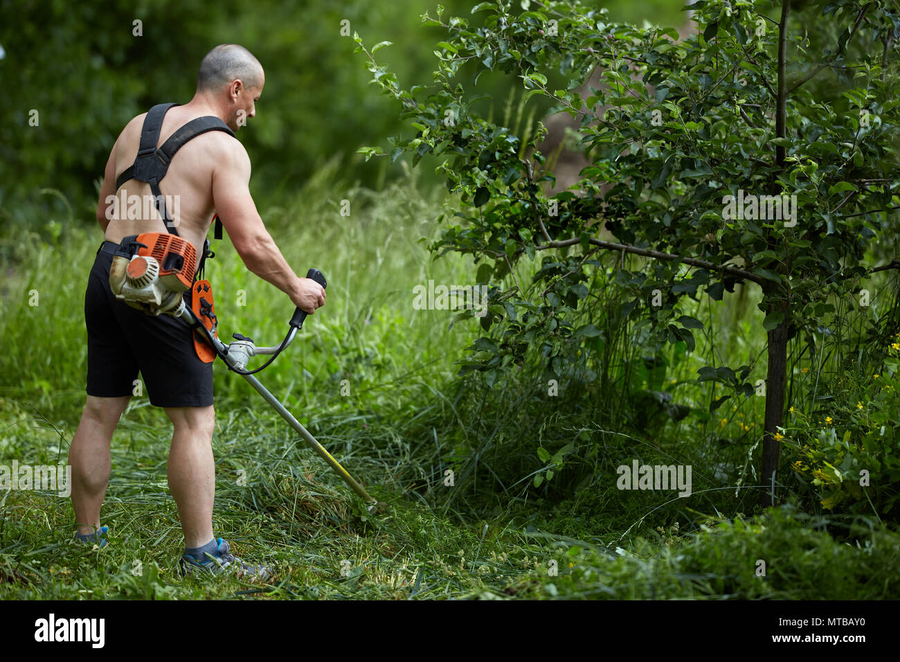 Mann das Mähen der Flächen mit einem brushcutter, motorisierte Rasenmäher Stockfoto