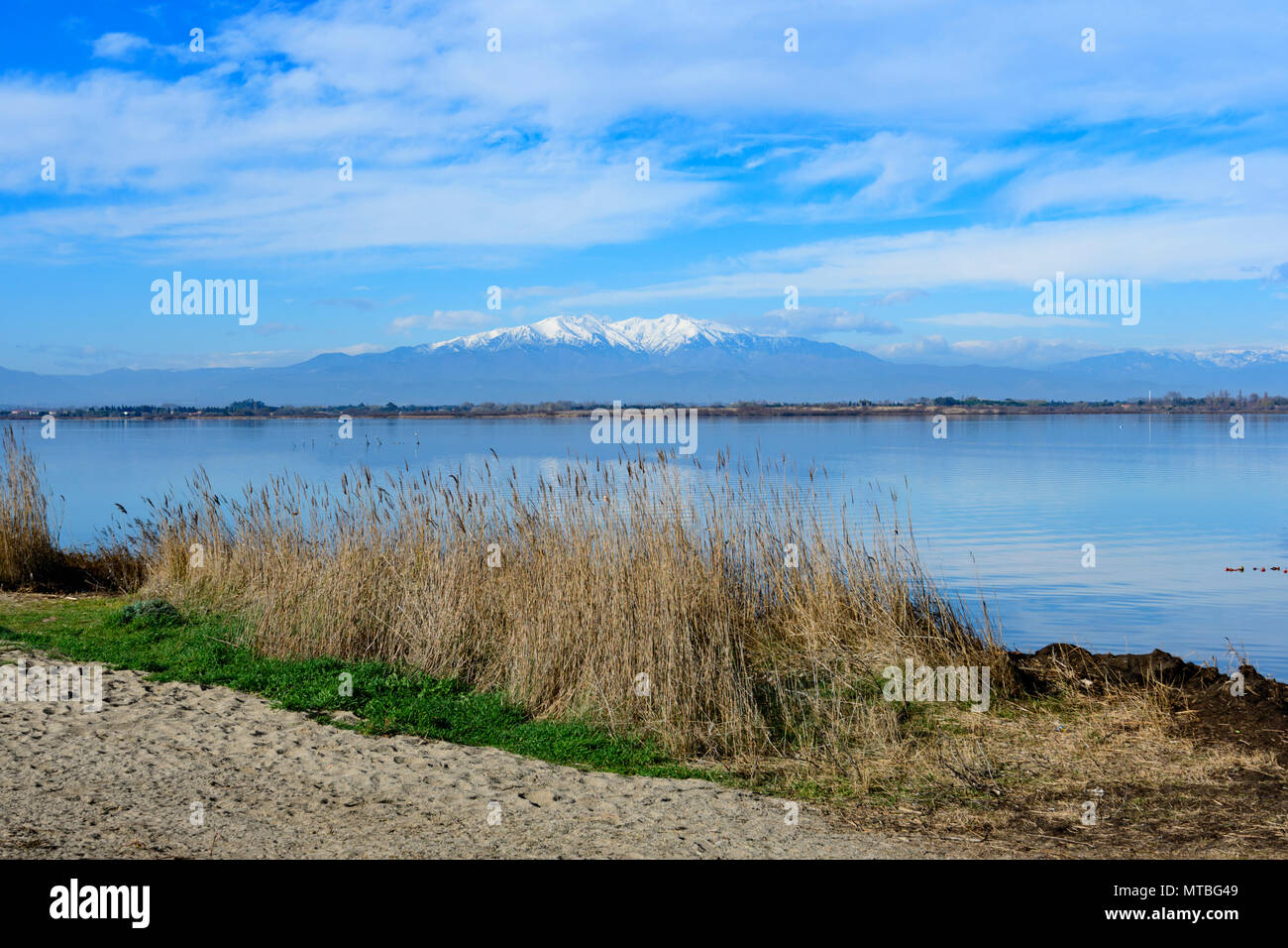 Malerischer Blick auf Mount Canigou am See Canet Saint-Nazare, Canet-en-Roussillon, Roussillon, Pyrénées-orientales, Frankreich Stockfoto