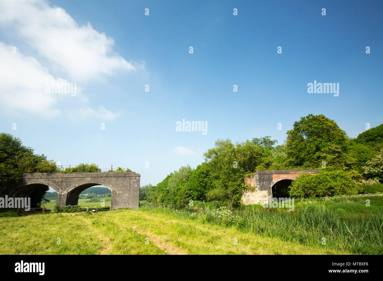 Die Reste des verfallenen Eisenbahnbrücke, die Teil der Somerset und Dorset Eisenbahn, die einmal das Dorset Stour Flussaufwärts vom Sturm überspannt war Stockfoto