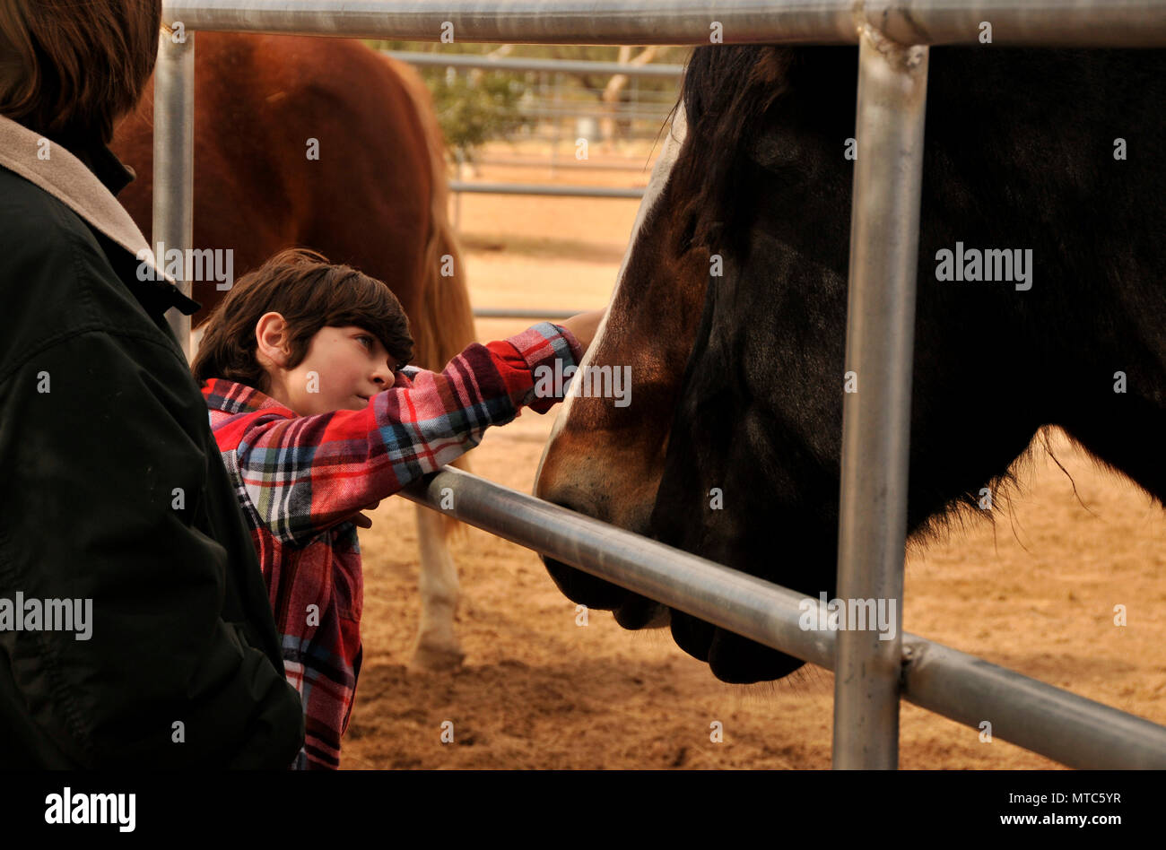 Ein Junge wählt ein Pferd als Weihnachtsgeschenk von seiner Tante an Equine Stimmen Sanctary und Rettung, Green Valley, Arizona, USA zu fördern. Stockfoto