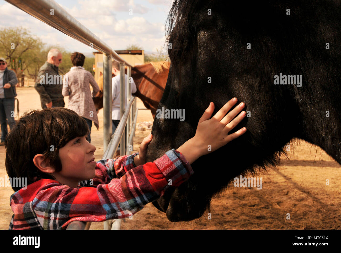 Ein Junge wählt ein Pferd als Weihnachtsgeschenk von seiner Tante an Equine Stimmen Sanctary und Rettung, Green Valley, Arizona, USA zu fördern. Stockfoto