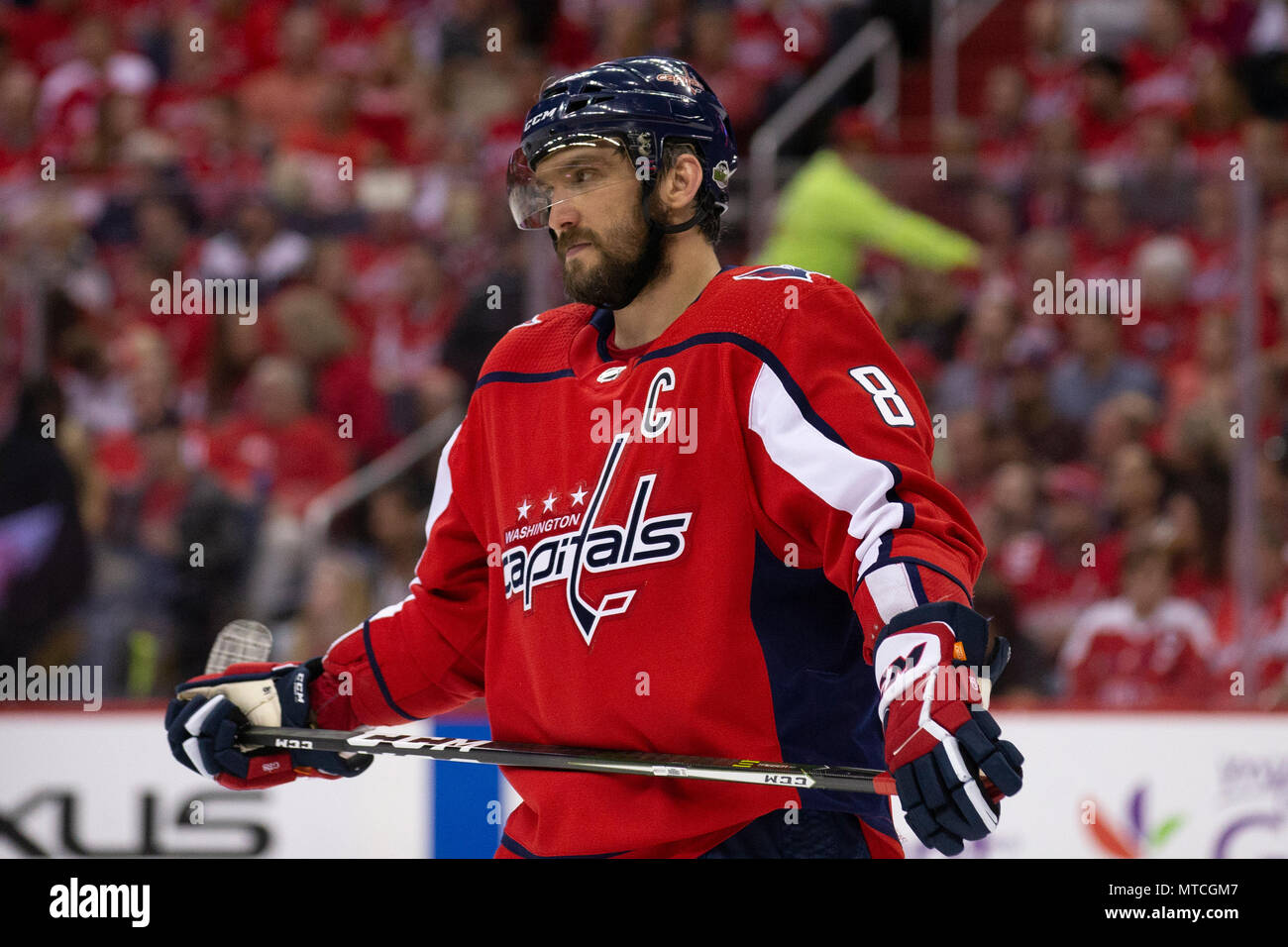 Hauptstädte linken Flügel Alex Ovechkin (8). Stockfoto