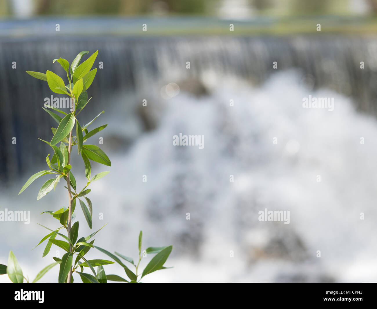 Einen herrlichen Blick auf das Wasser in Buena Vista CO Stockfoto