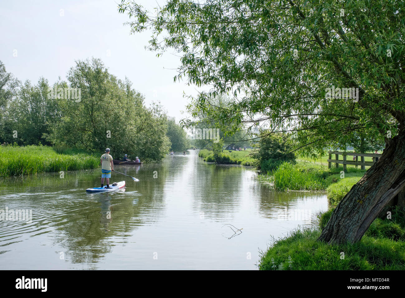 Erkundung des Flusses Stour durch Paddler Board in der Nähe von Flatford Mill, East Bergholt, Suffolk, England, Großbritannien Stockfoto