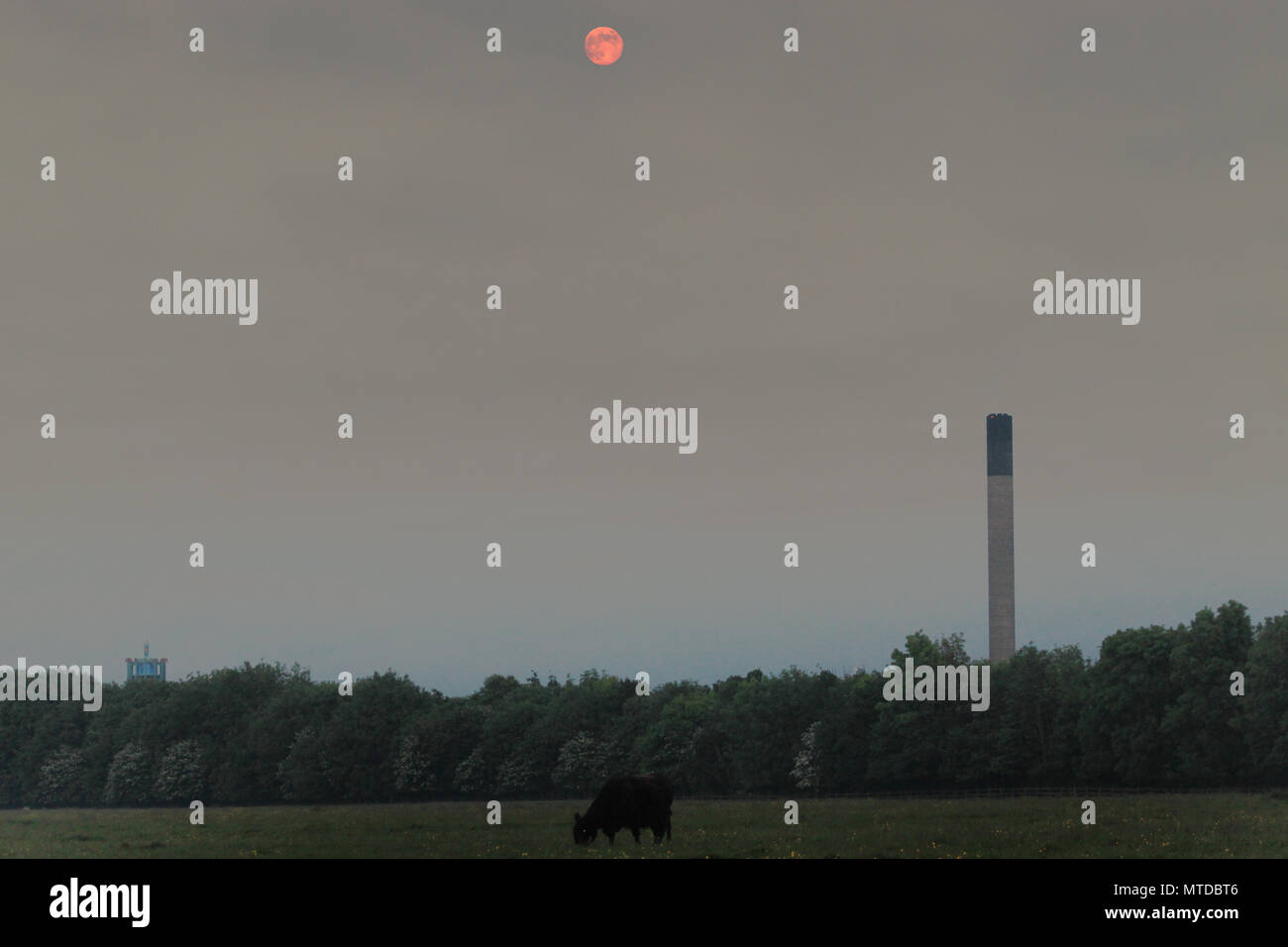 Newcastle upon Tyne. 28 Mai, 2018. Wetter Großbritannien: Milch Mond/Blume Mond. Vollmond im Mai auf dem Moor, Newcastle upon Tyne. UK. 28.Mai 2018. Quelle: David Whinham/Alamy leben Nachrichten Stockfoto