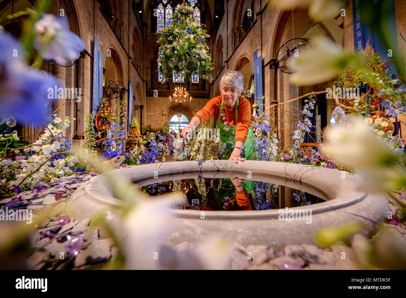 Chichester, Großbritannien. 30. Mai 2018. Chichester Festival der Blumen - den letzten Schliff an die 2018 Veranstaltung, die vom 31. Mai bis 2. Juni läuft. Cherry Rebhuhn mit Ihrer Anzeige. Quelle: Jim Holden/Alamy leben Nachrichten Stockfoto