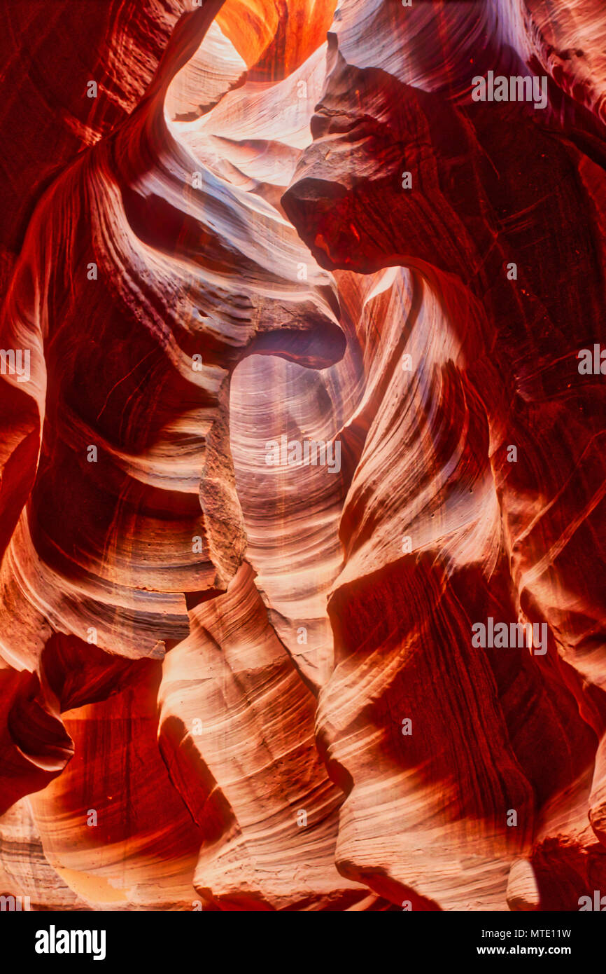 Geschwungene Wände des reflektierten Lichts in Lower Antelope Slot Canyon Stockfoto