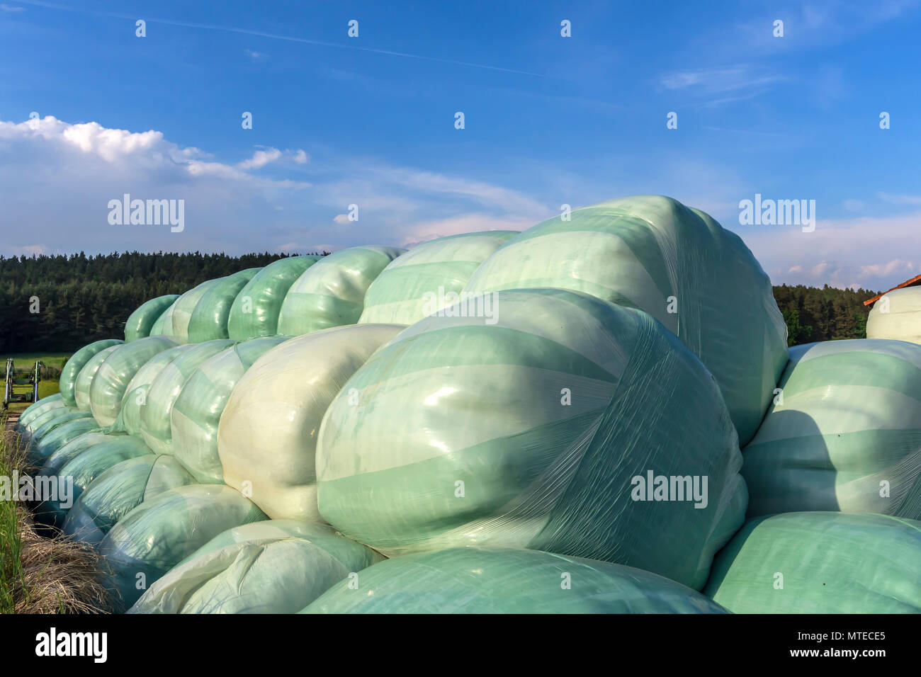 Silo Ballen in Folie eingewickelt, Bayern, Deutschland Stockfoto