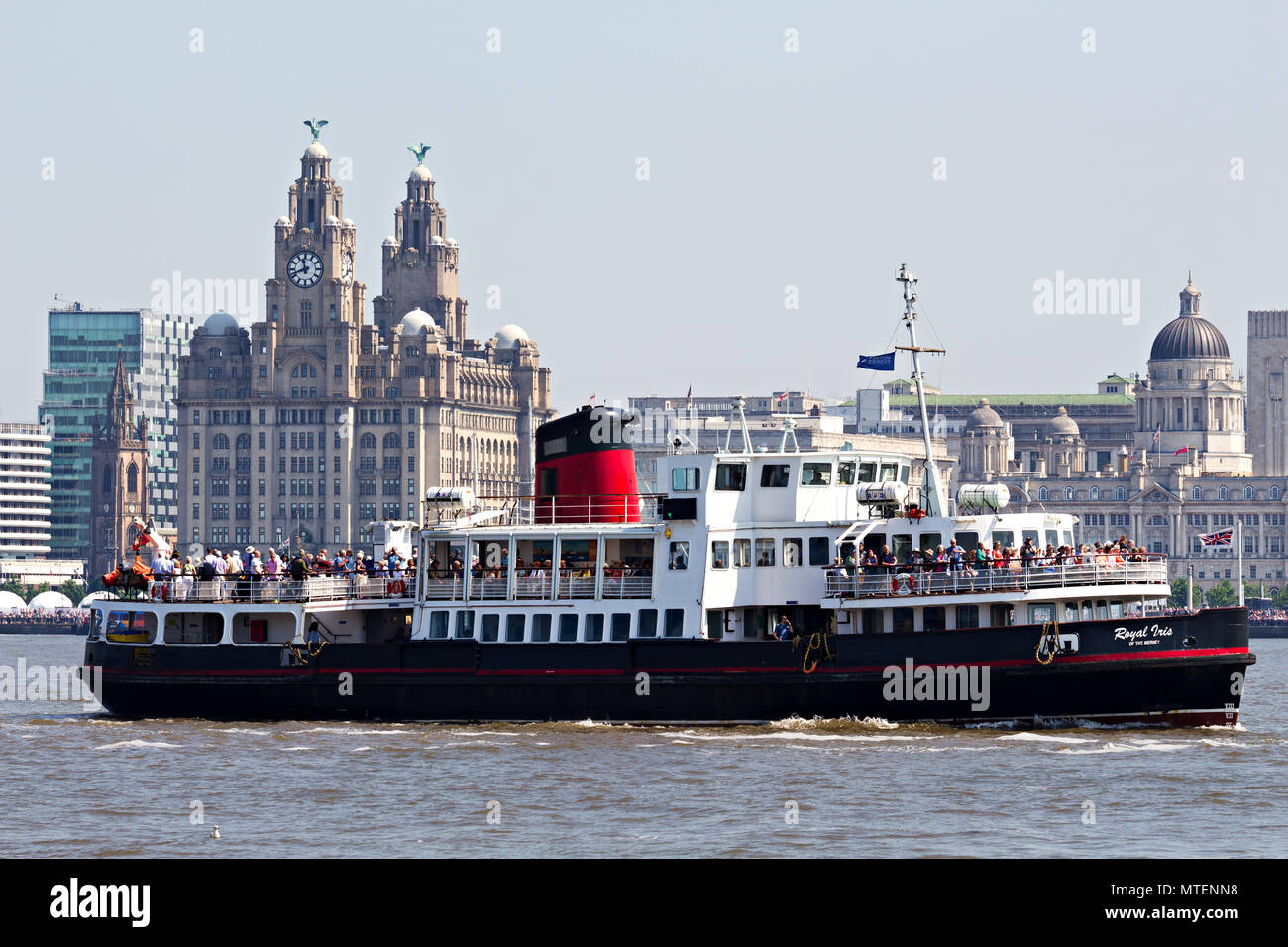 Die mersey Fähre Royal Iris segeln vorbei an der Leber Gebäude auf dem Mersey Liverpool UK. Stockfoto
