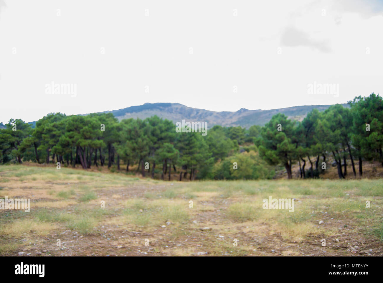 Fotografía tomada en el Monte Abantos, San Lorenzo de El Escorial, España. Stockfoto