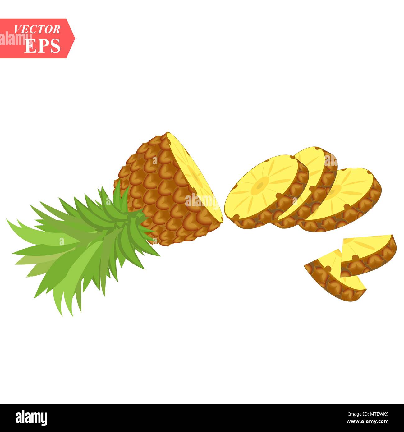 Ananas Realistische Obst Mit Slice Vector Illustration Ananas