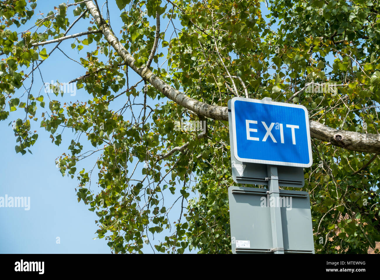 Exit Schild, England. Vereinigtes Königreich Stockfoto