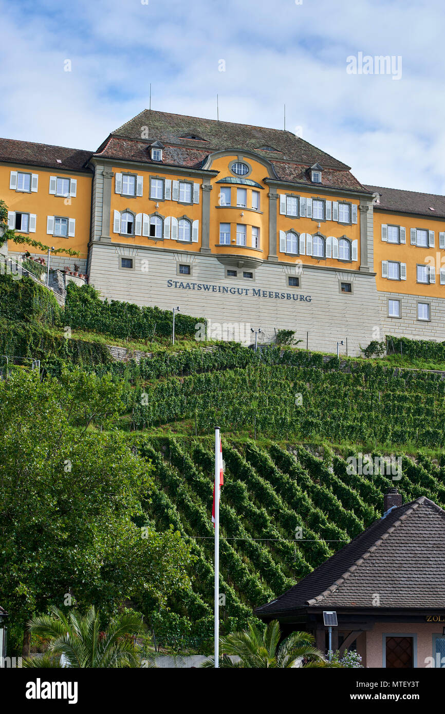 Staatsweingut Meersburg (Weingut) auf einem Hügel mit Reihen von Reben wachsen unten einstellen Stockfoto