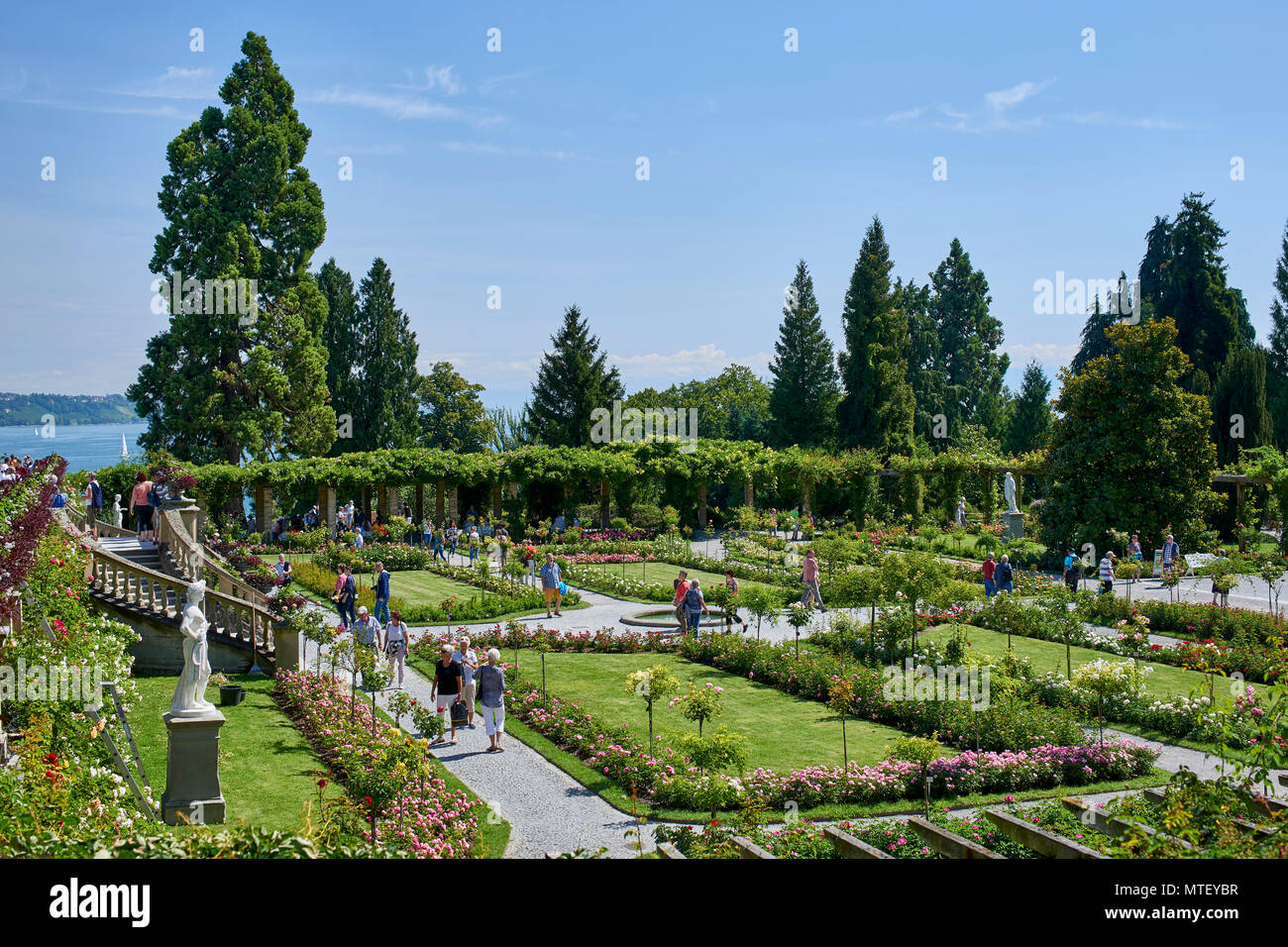 Italienischen Rosengarten auf der Mainau (Blume) Insel, See Konstanz Stockfoto