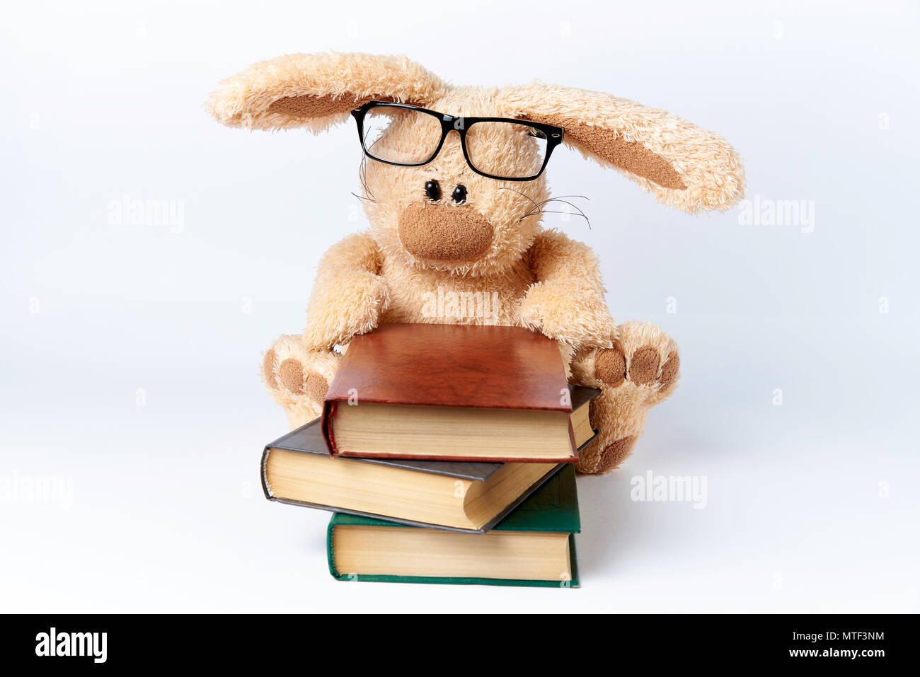Ein Plüschtier Kaninchen in Brille sitzt mit einem Stapel Bücher. Stockfoto