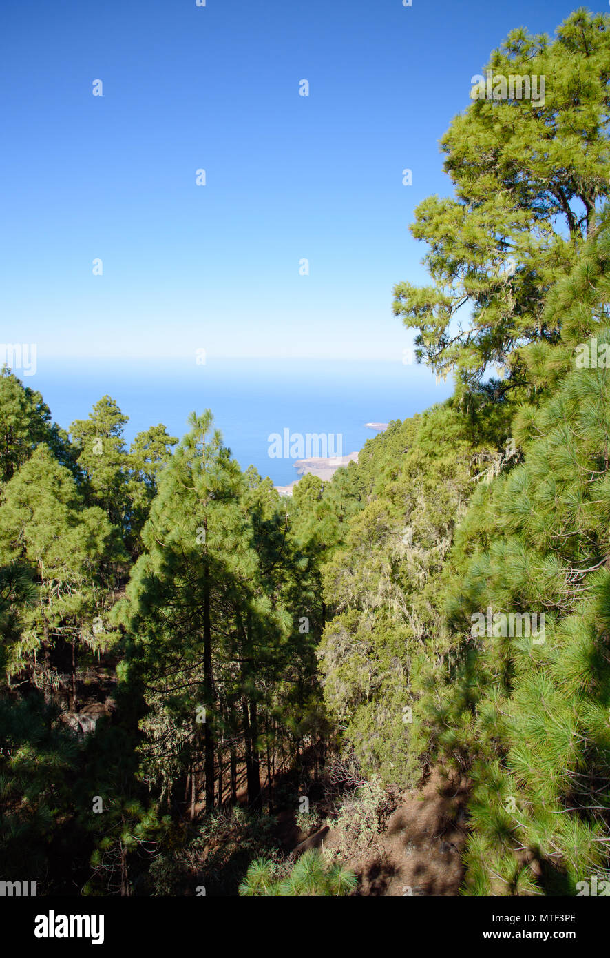 Malerische Ansicht von Tamadaba Berge Stockfoto