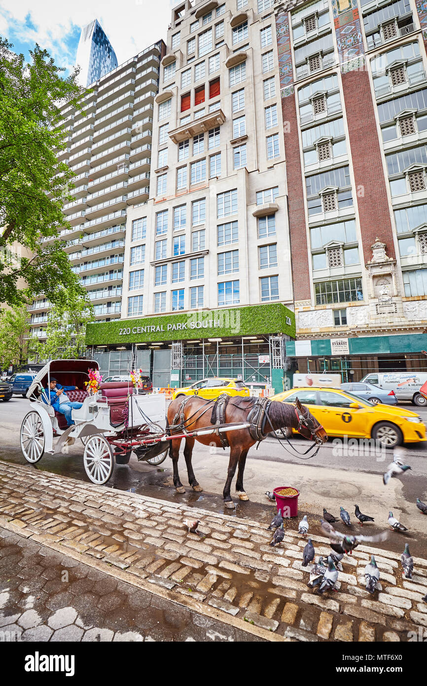 New York City, USA - 26. Mai 2017: Kutsche durch den Central Park. Es ist eine der besten Möglichkeiten für Touristen die Schönheit des Parks zu genießen. Stockfoto