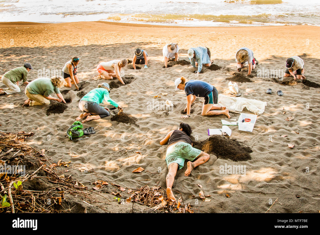 Vortrag im Biosphere Citizen Science Projekt zum Schutz von Meeresschildkröten in Costa Rica Stockfoto