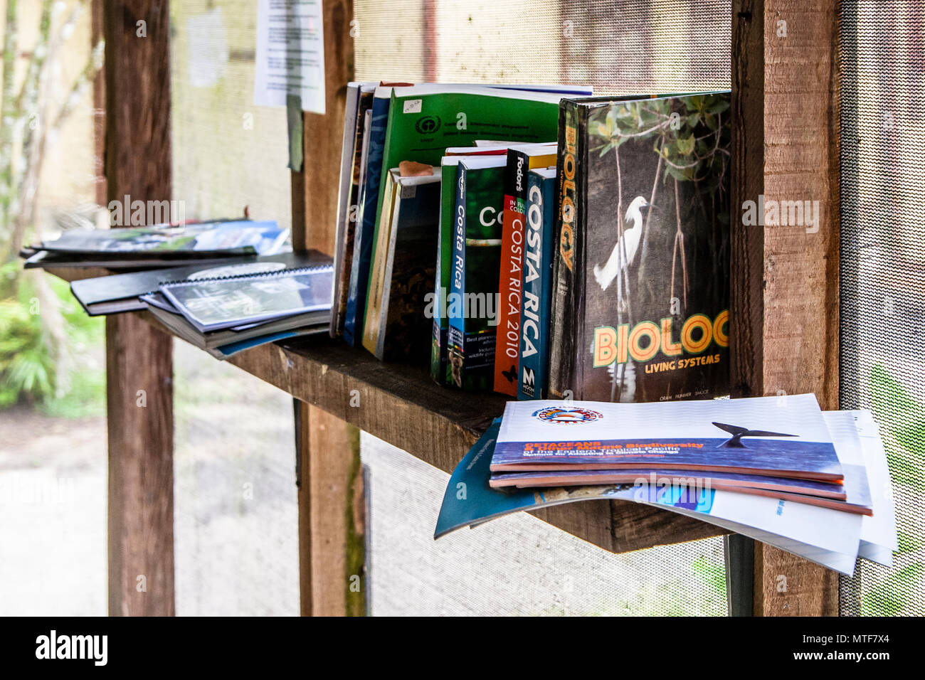 Bibliothek des Bürgerforschungsprojekts Biosphäre zum Schutz von Meeresschildkröten in Costa Rica. Die Referenzbibliothek mit Wissenschaft und Reiselesen befindet sich im Ess- und Besprechungsraum Stockfoto