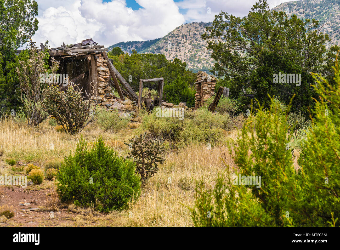 Eine Ruine eines verlassenen Hauses entlang der Autobahn 14 in Golden, Colorado. Stockfoto