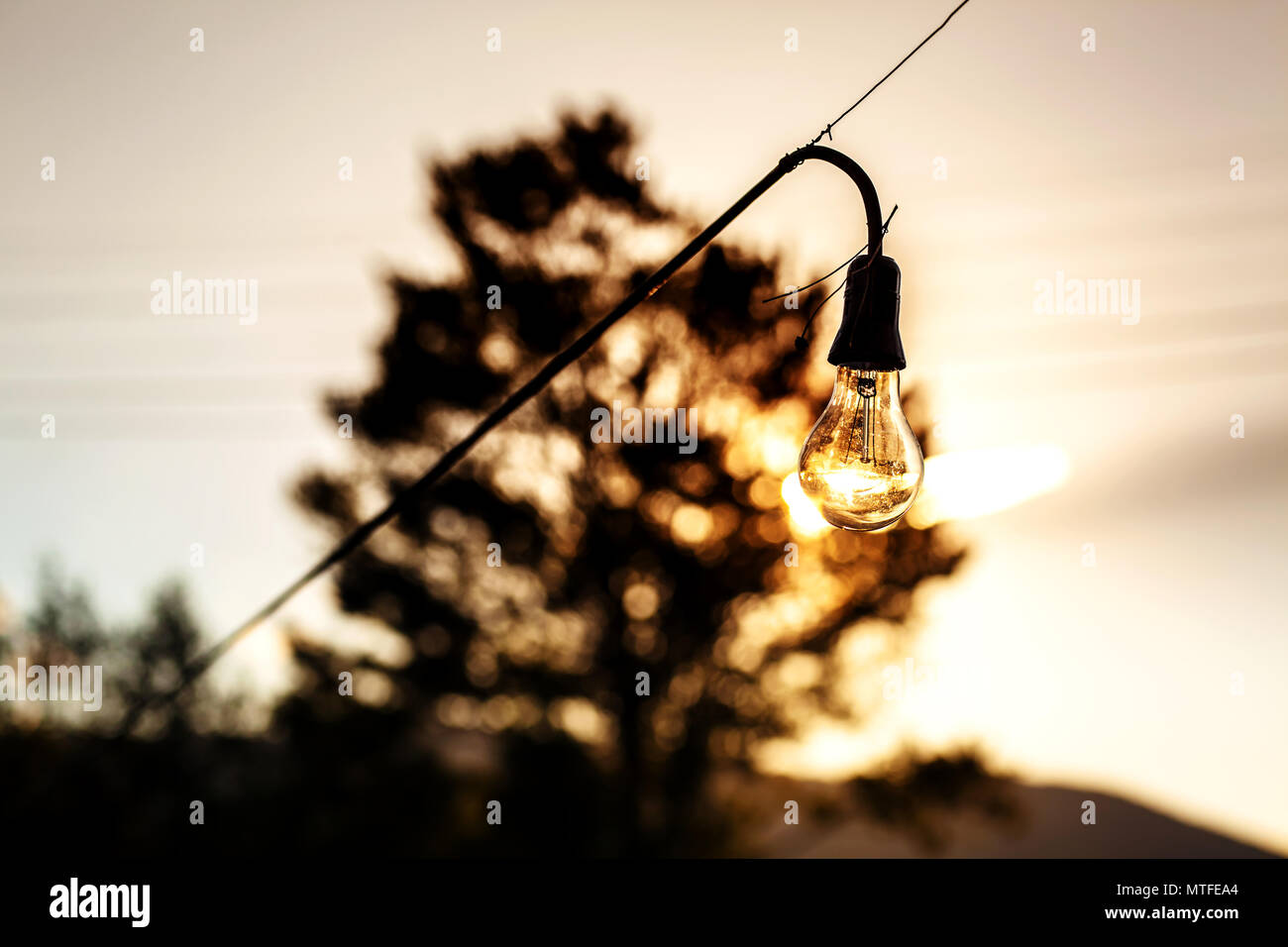 Silhouette Glühbirne hängen an einem Draht, Sonnenuntergang und ein Baum im Hintergrund Stockfoto