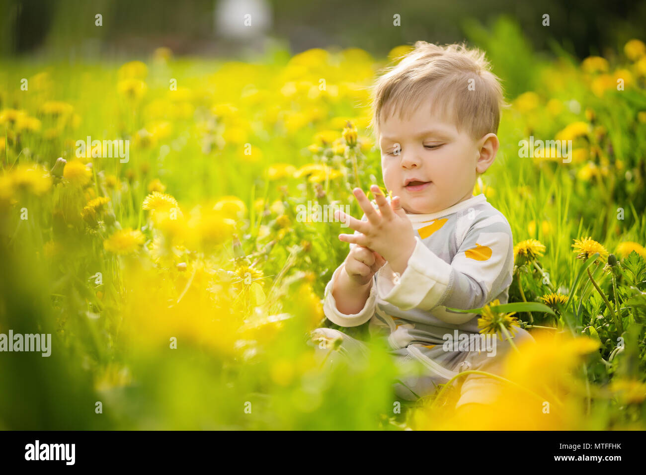 Konzept: die Werte der Familie. Portrait von adorable Unschuldige lustig Brown-eyed Baby spielt im sonnigen Löwenzahn im freien Feld. Stockfoto