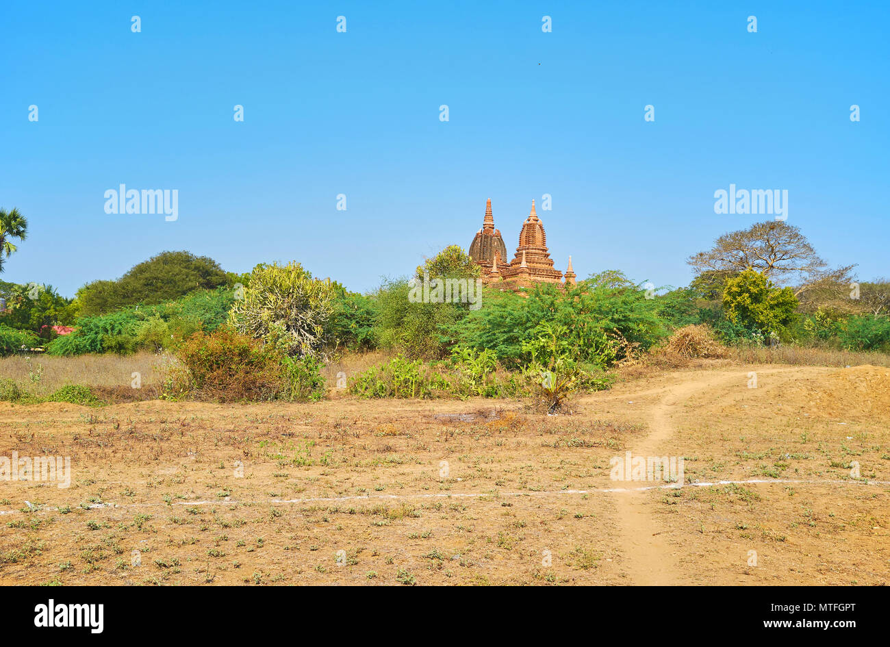 Wandern entlang der Wanderwege ist der beste Weg, alte Grenzsteine in Bagan archäologische Stätte zu erkunden, Myanmar Stockfoto