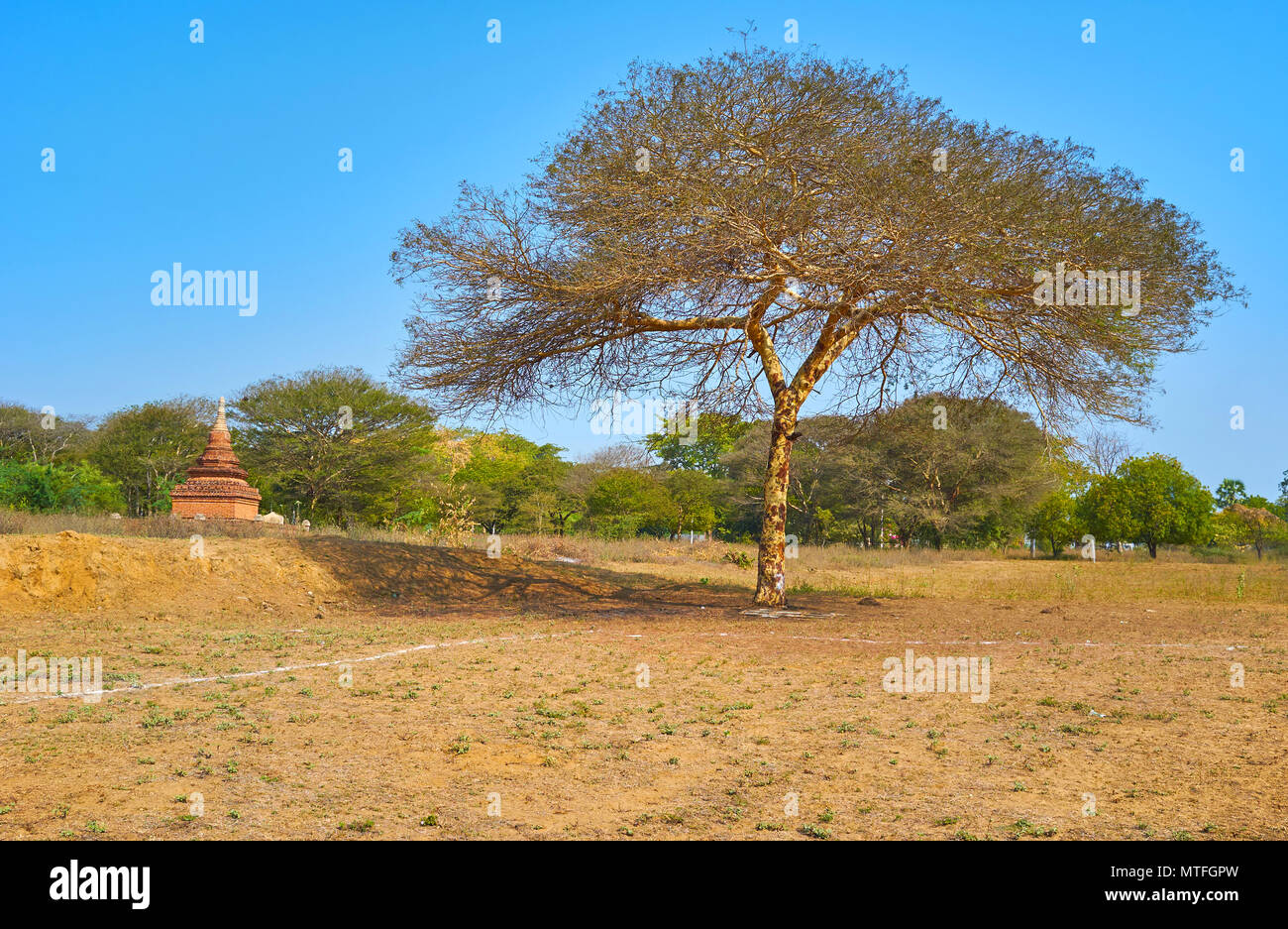 Schöne Natur von Bagan archäologische Stätte Nachbarn mit antiken Tempel und Stupas, Myanmar Stockfoto
