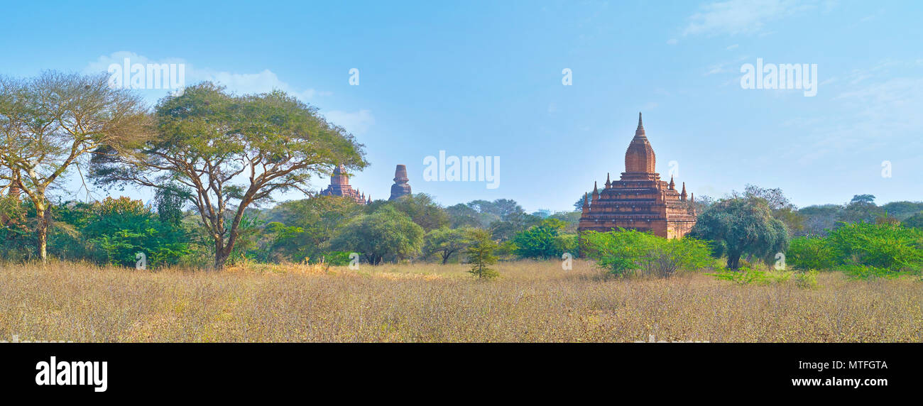 Panorama von Bagan archäologische Stätte mit antiken Tempel auf Hintergrund, Myanmar Stockfoto