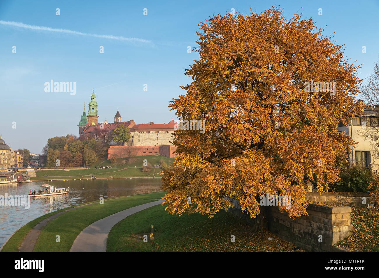 Kai des Flusses Wisla, der Königliche Palast auf dem Hügel Wawel und eine motley Baum im Vordergrund. Krakau. Polen Stockfoto