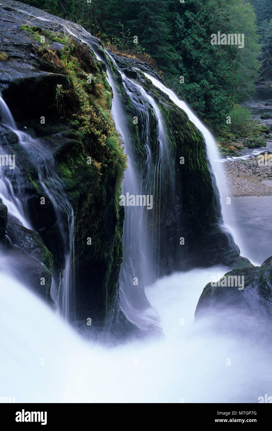 Obere Lewis River Falls, Gifford Pinchot National Forest, Washington Stockfoto