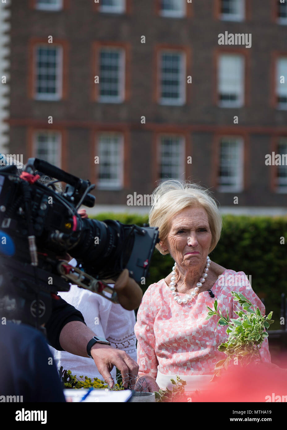 Chelsea Flower Show 2018 Stockfoto