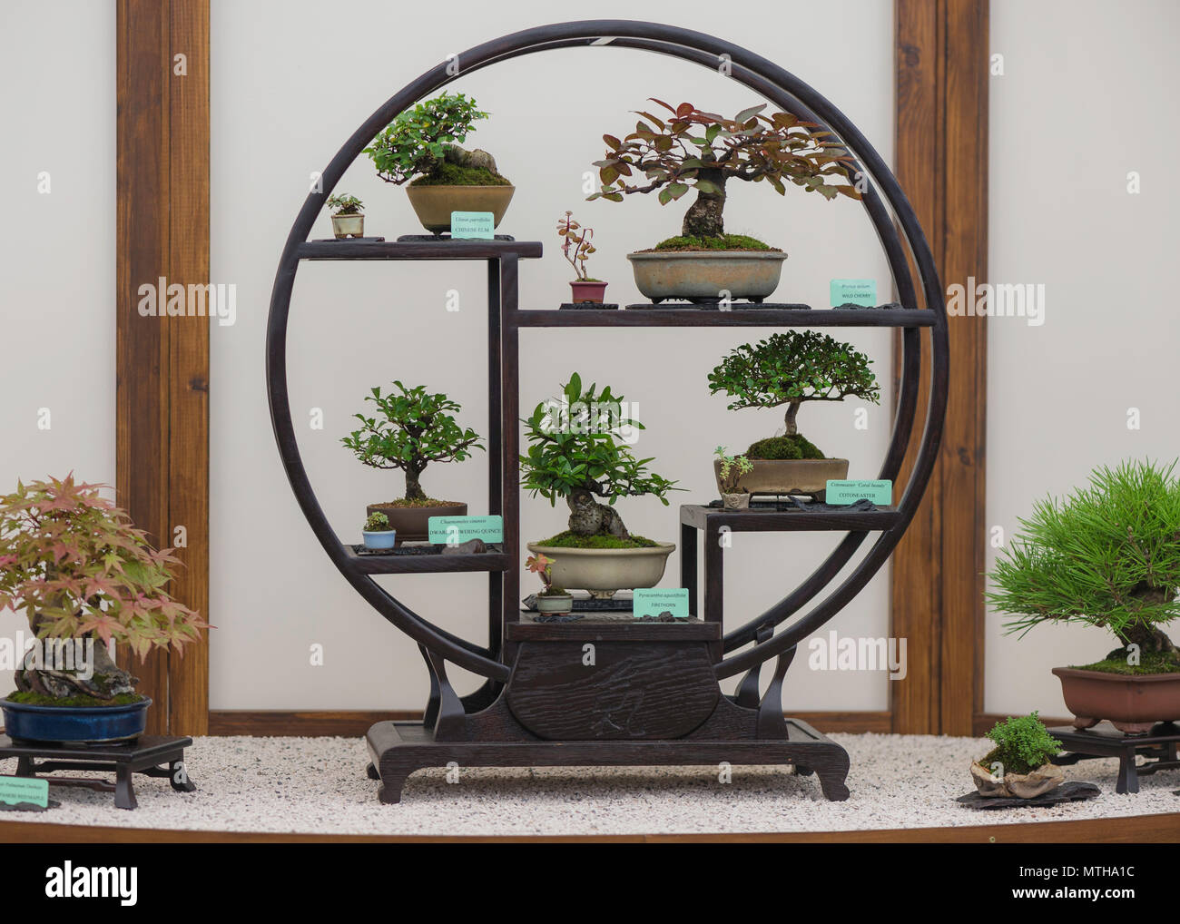 Chelsea Flower Show 2018 Stockfoto